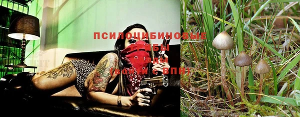 экстази Лагань