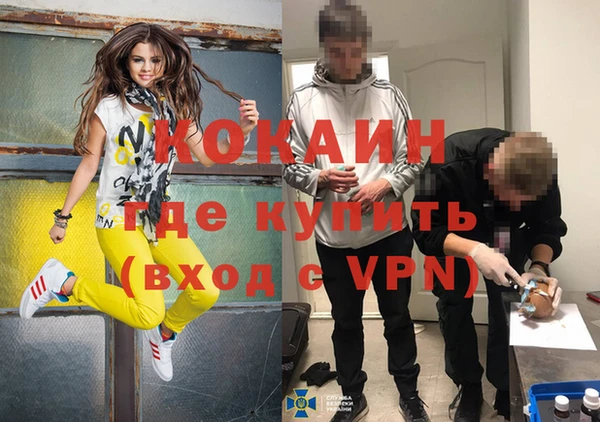 дживик Липки